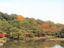 晩秋の色濃い小石川植物園