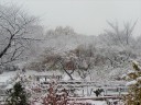 １２月初旬の雪景色