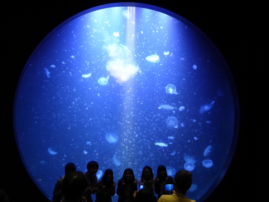 大型連休は山形へ クラゲが遊泳する加茂水族館などを楽しむ 団塊人の散歩道